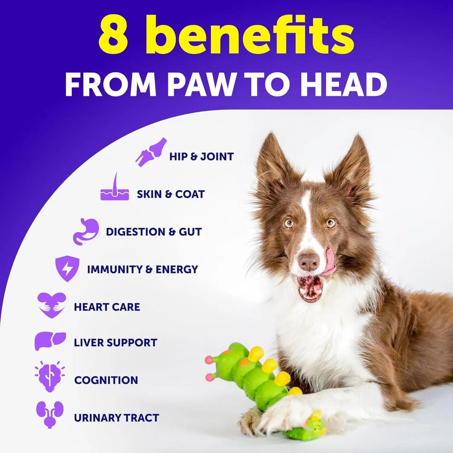 Artullano 20-in-1 Dog Chews: Hip, Joint, Skin & Gut Support
