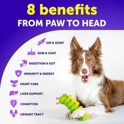 Artullano 20-in-1 Dog Chews: Hip, Joint, Skin & Gut Support