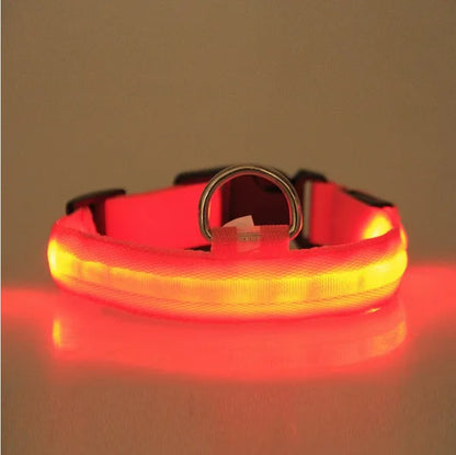 LED Safety Halo Dog Collar — Visible 1,000ft Away, 3 Light Modes, 5 Colors, S to XL