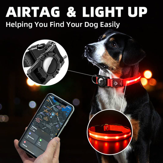Light Up Dog Collar with AirTag Holder — LED Safety Collar for Dogs