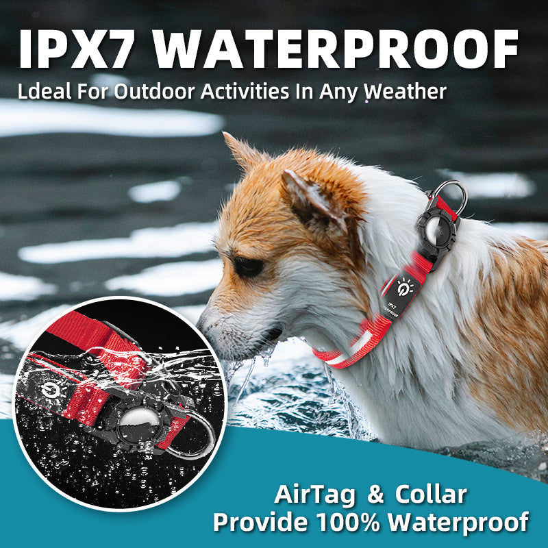 Light Up Dog Collar with AirTag Holder — LED Safety Collar for Dogs
