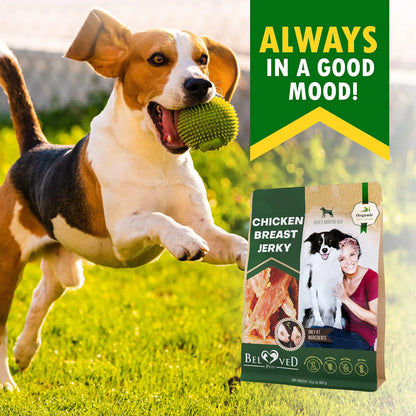All-Natural Chicken Jerky Dog Treats — Grain-Free, High Protein, 300g