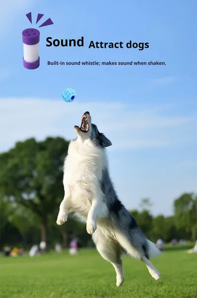 Interactive Sound Ball Pet Toy — Motion-Activated, Squeaky, Chew-Safe, Dogs & Cats