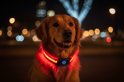 Close-up LED Collar with AirTag