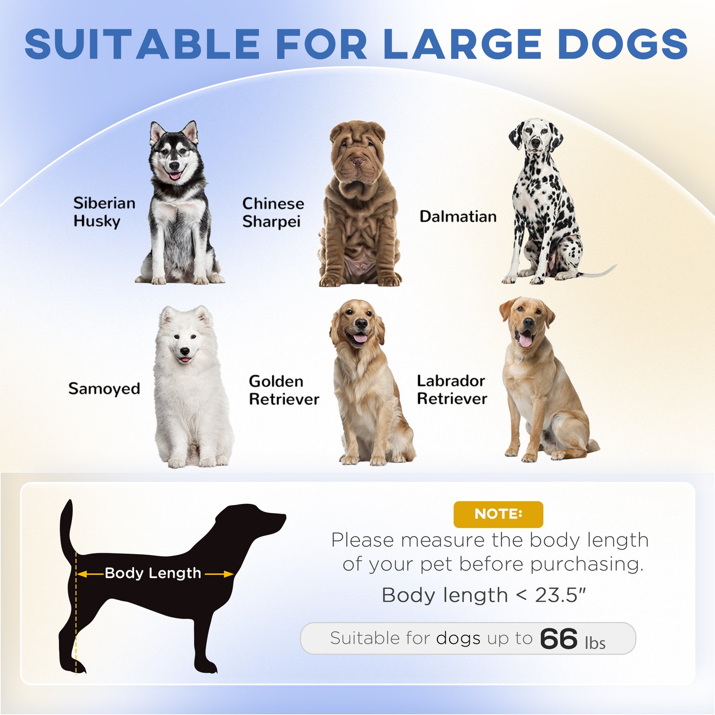 2-in-1 Human & Dog Lounge Bed — Orthopedic, Washable, 71" Flat for Large Dogs