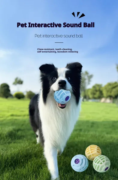 Interactive Sound Ball Pet Toy — Motion-Activated, Squeaky, Chew-Safe, Dogs & Cats