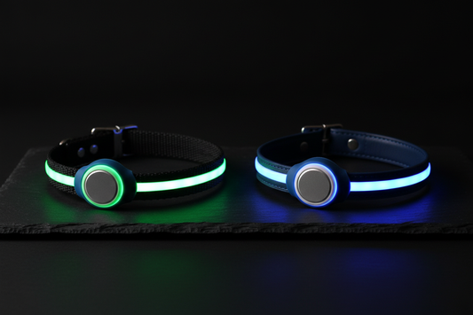 Night Safety Bundle with AirTag